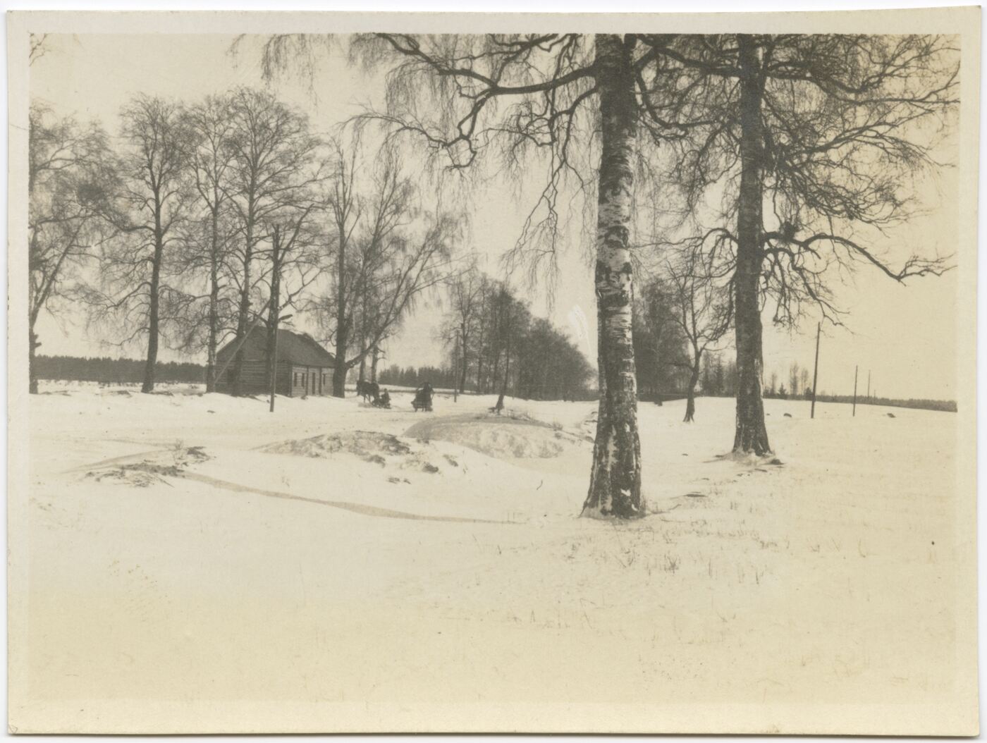 Nežinomas autorius, Žiemą