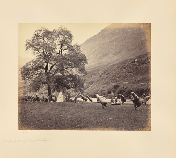 Samuel Bourne, Mussucks for Crossing the Beas below Bajoura