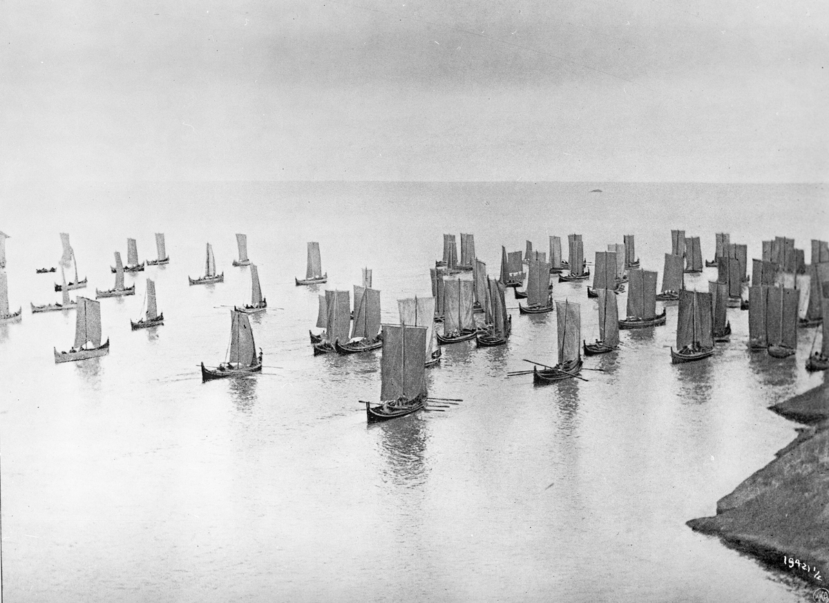 Anders Beer Wilse, Prot: Ind fra fiskehavet