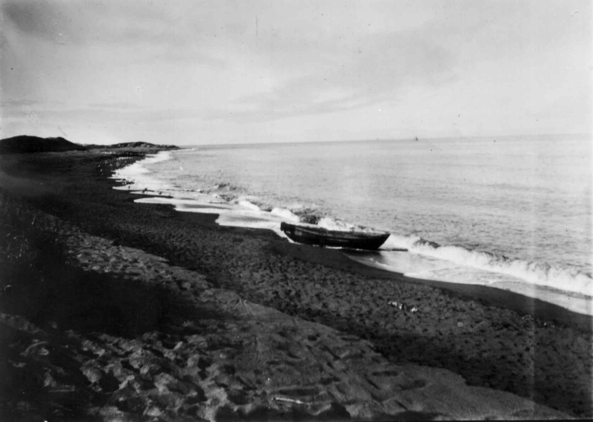 Ellisif Rannveig Wessel, Utenfor Grense Jakobselvs utløp, Sør-Varanger, Finnmark, antatt 1900-1910. Båt i strandkanten, antatt brukt til sildefiske.