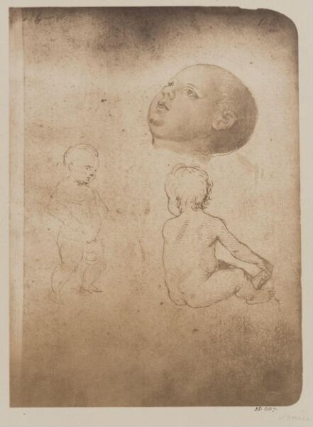 Fratelli Alinari, Photograph