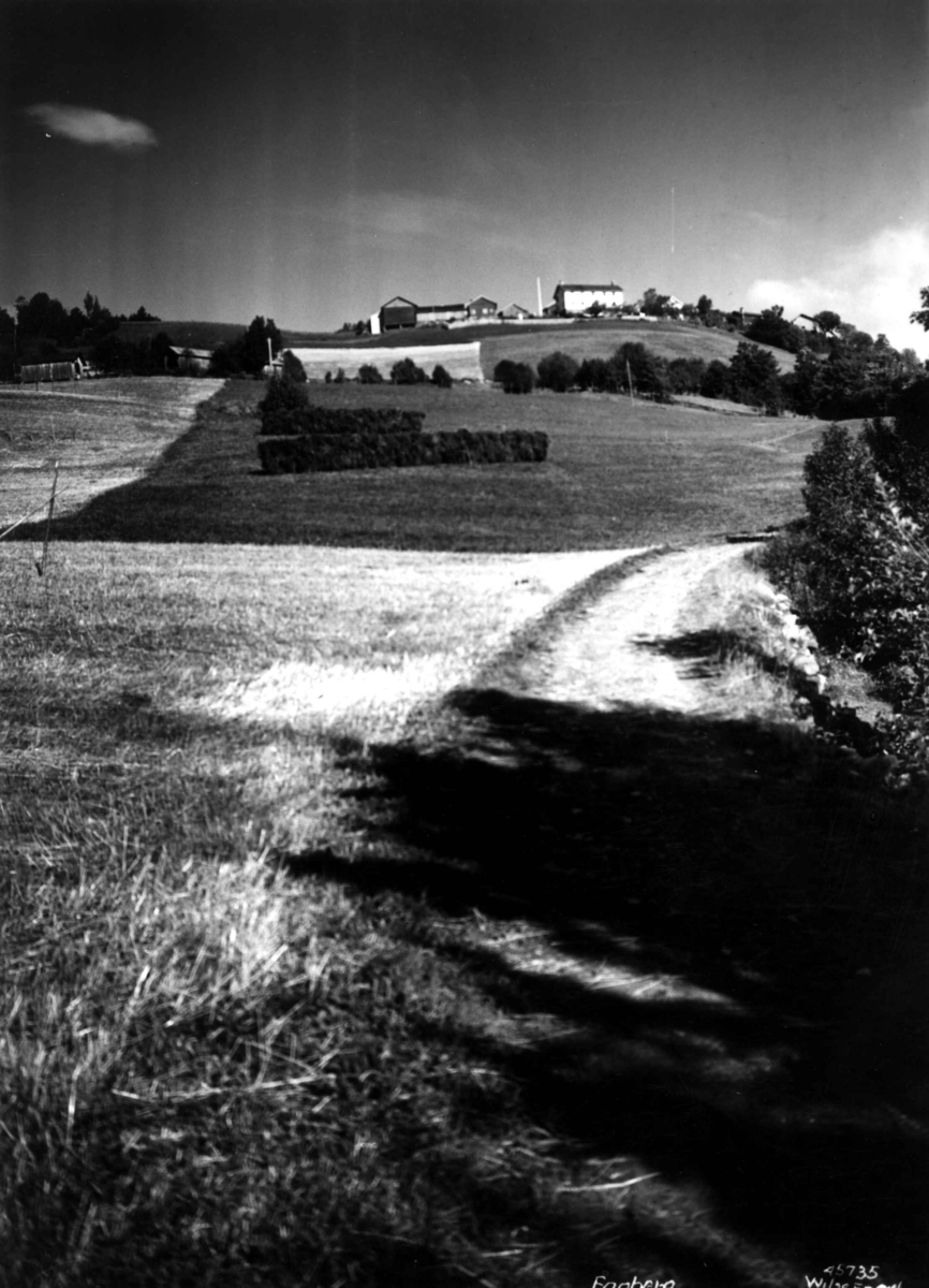 Anders Beer Wilse, Landbruk
