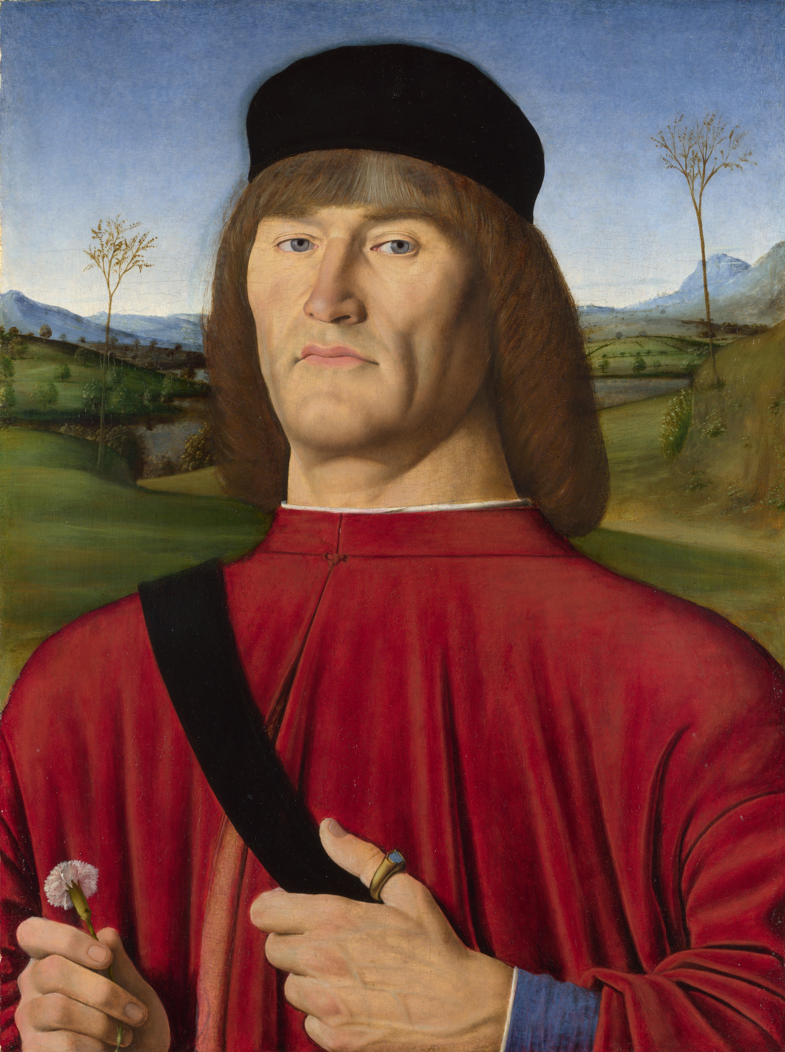 Andrea Solari, A Man with a Pink Carnation