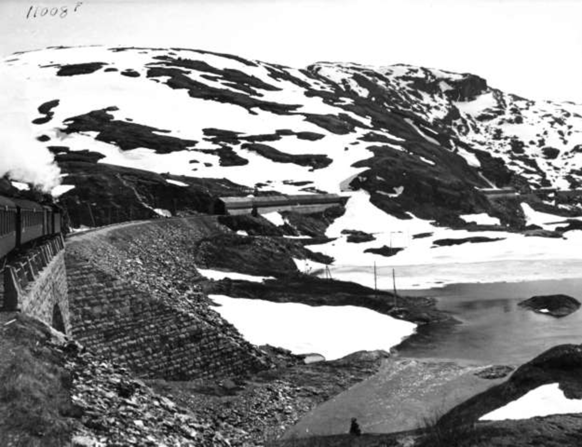 Anders Beer Wilse, -6031