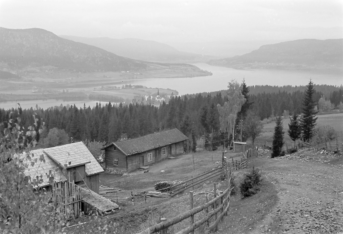 Anders Beer Wilse, Prot: Utsikten fra Fluberg Randsfjorden