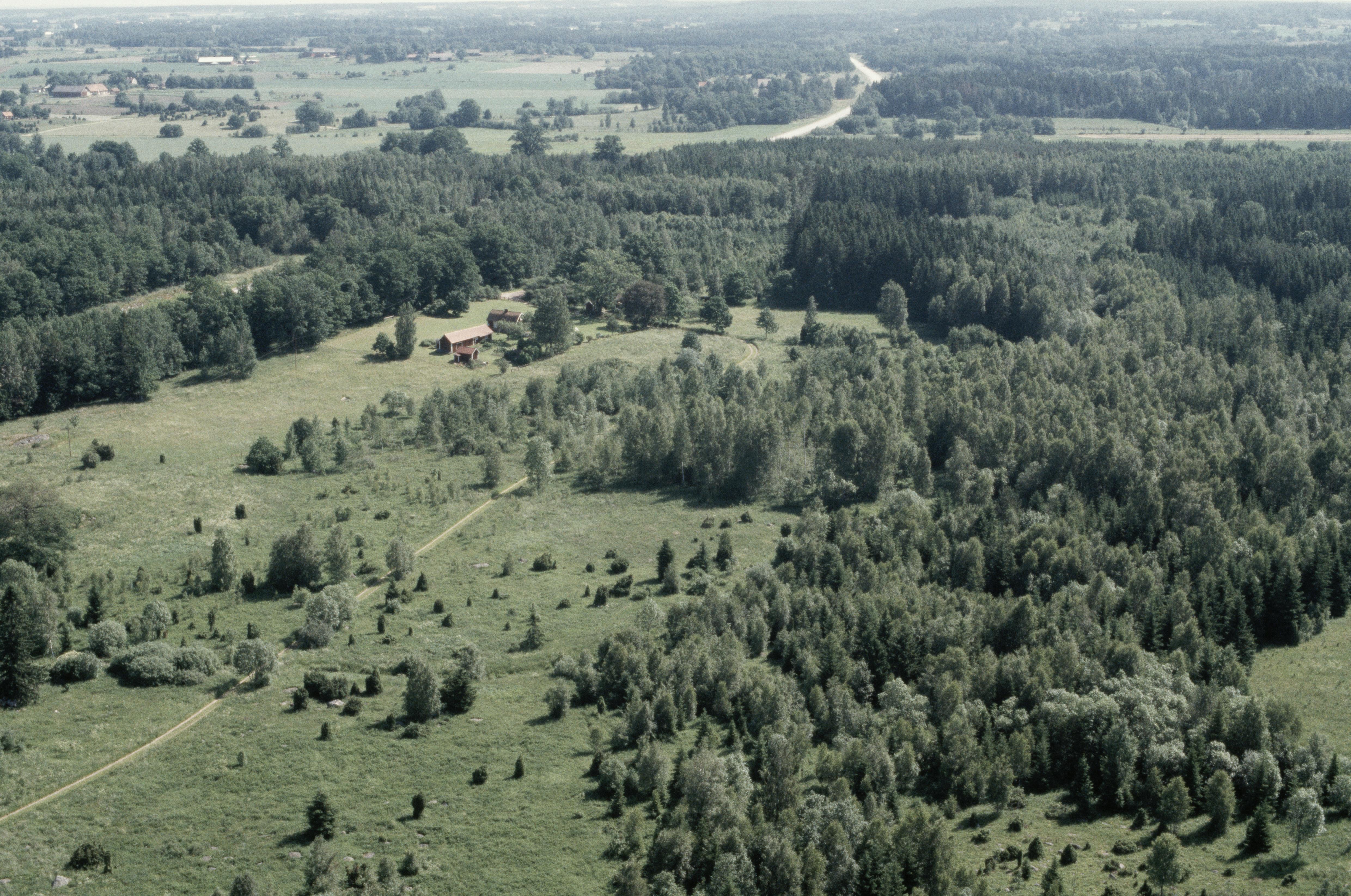 Jan Norrman, Väderstad 219:1
