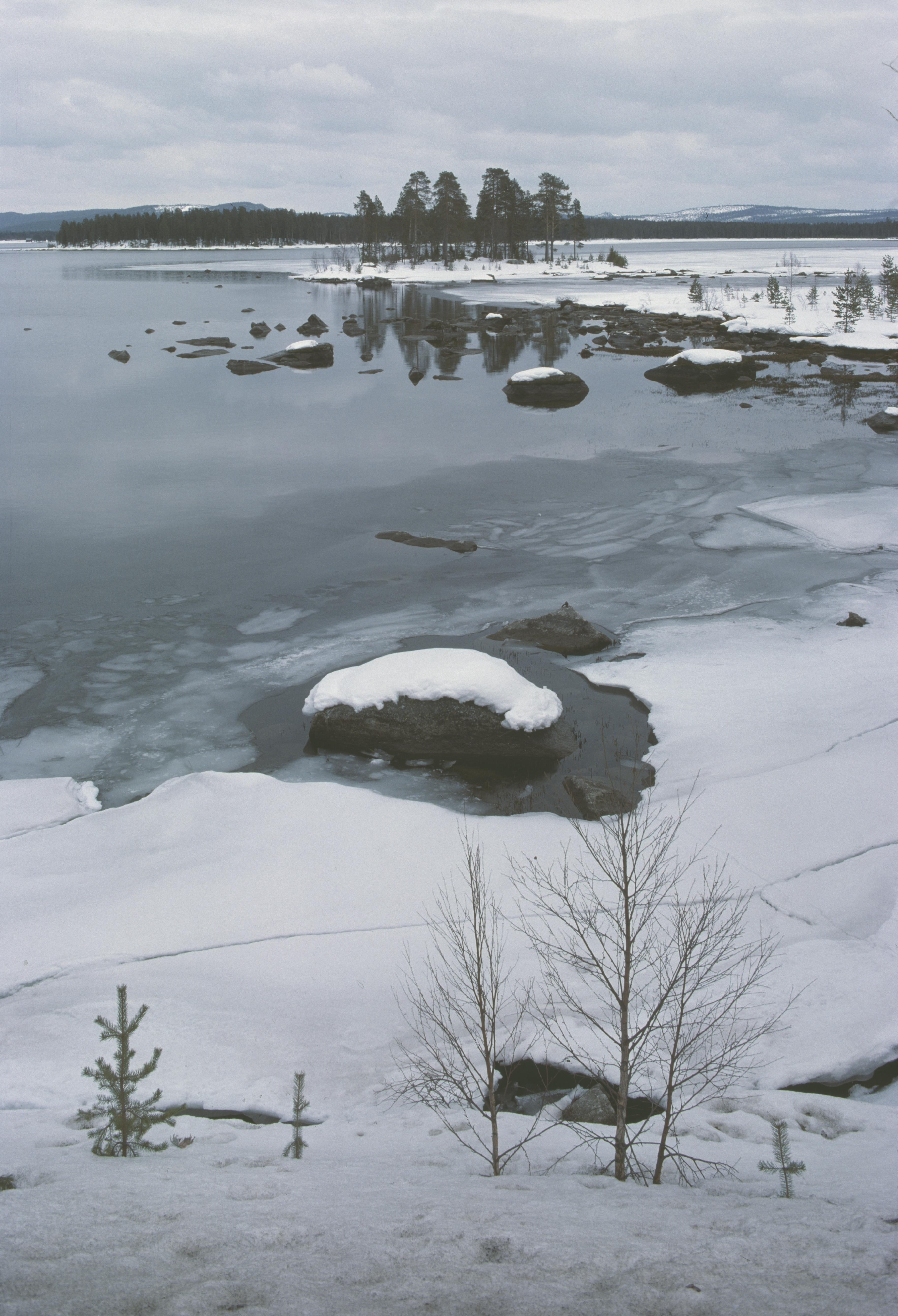 Pål-Nils Nilsson, Västerbotten