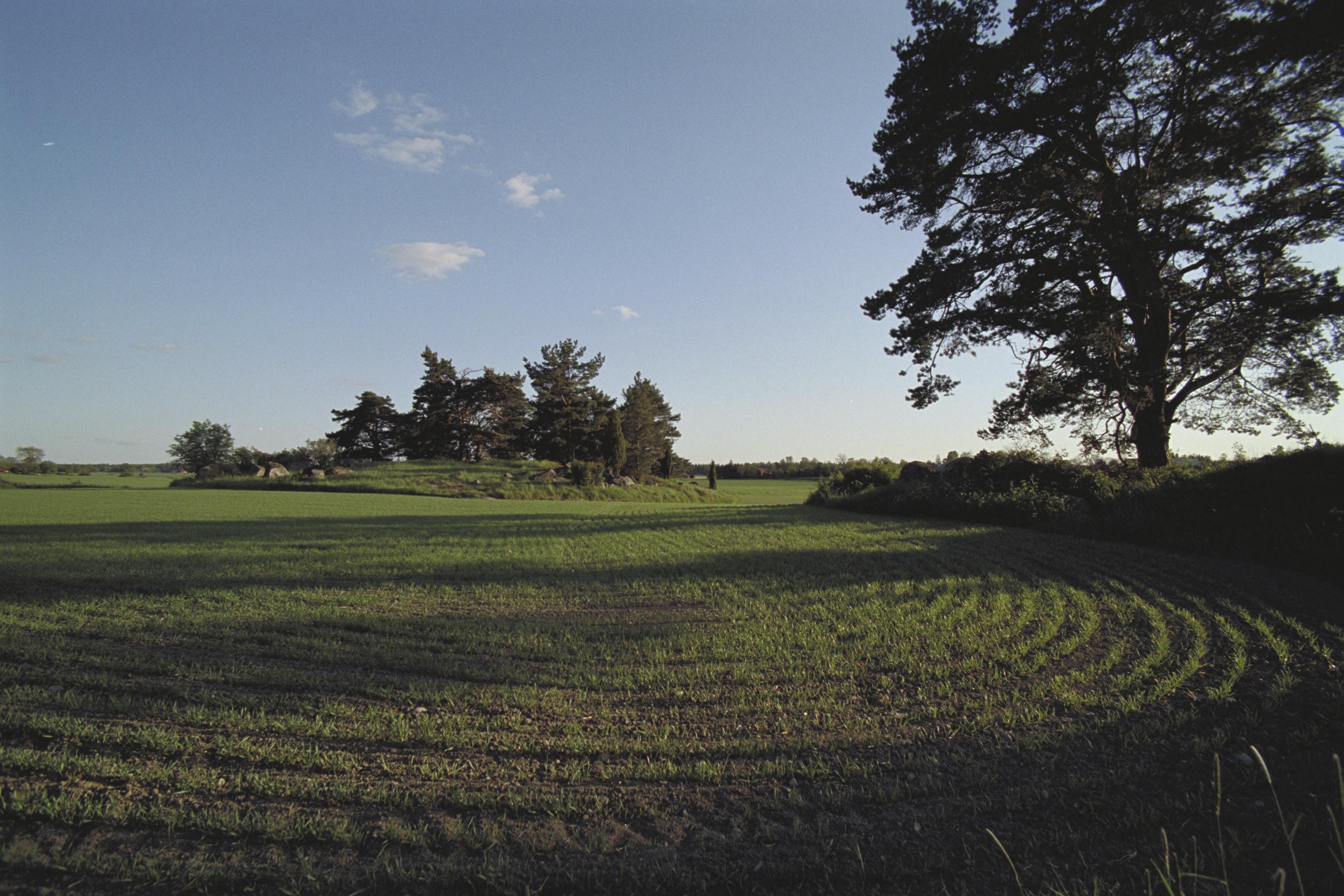 Bengt A Lundberg, Rickeby