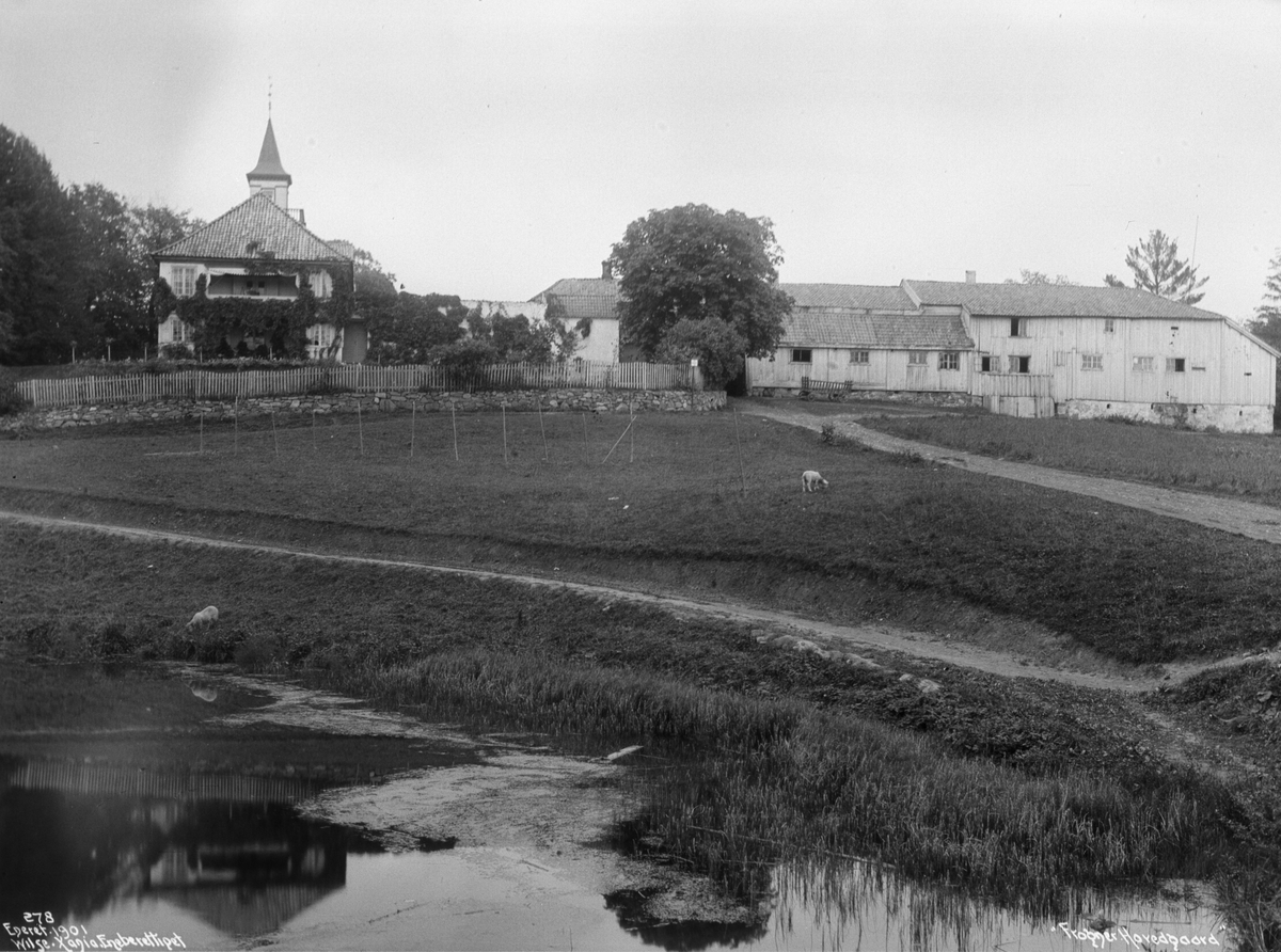 Anders Beer Wilse, Prot: Frogner Hovedgård Oct.1902