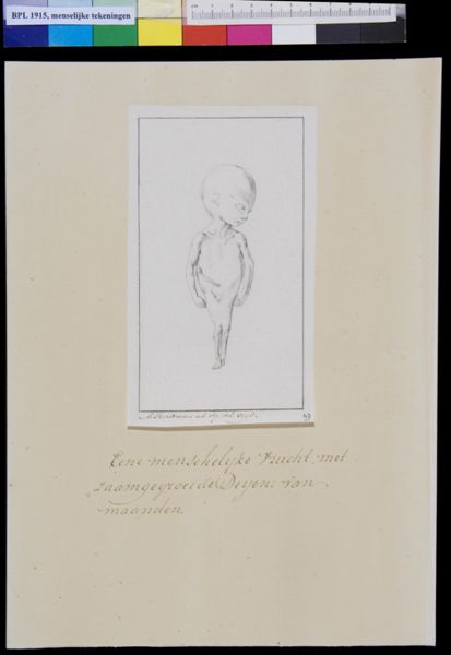 M Houtman, Foetus