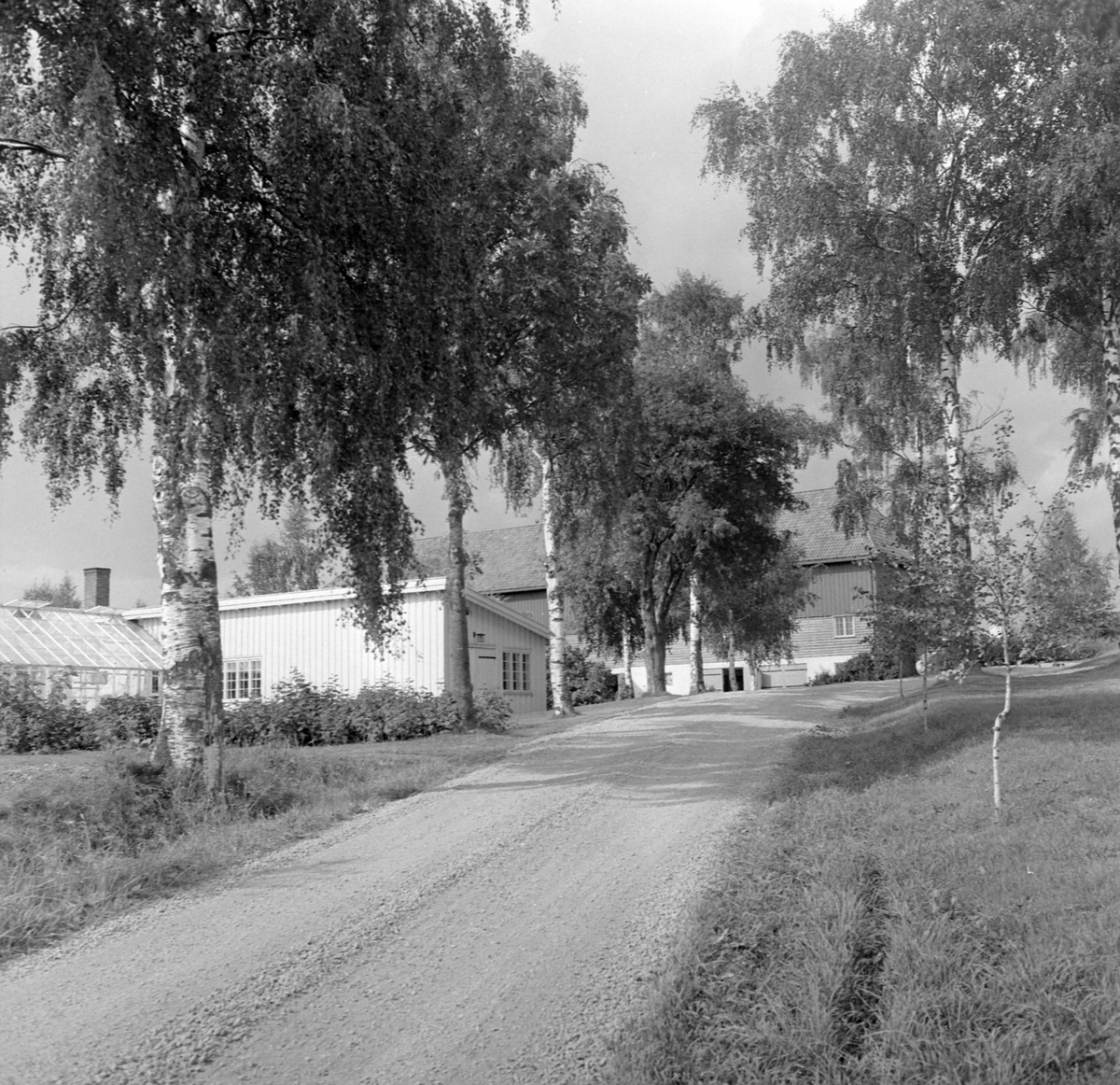 Adolf Skjegstad, ASK-04567
