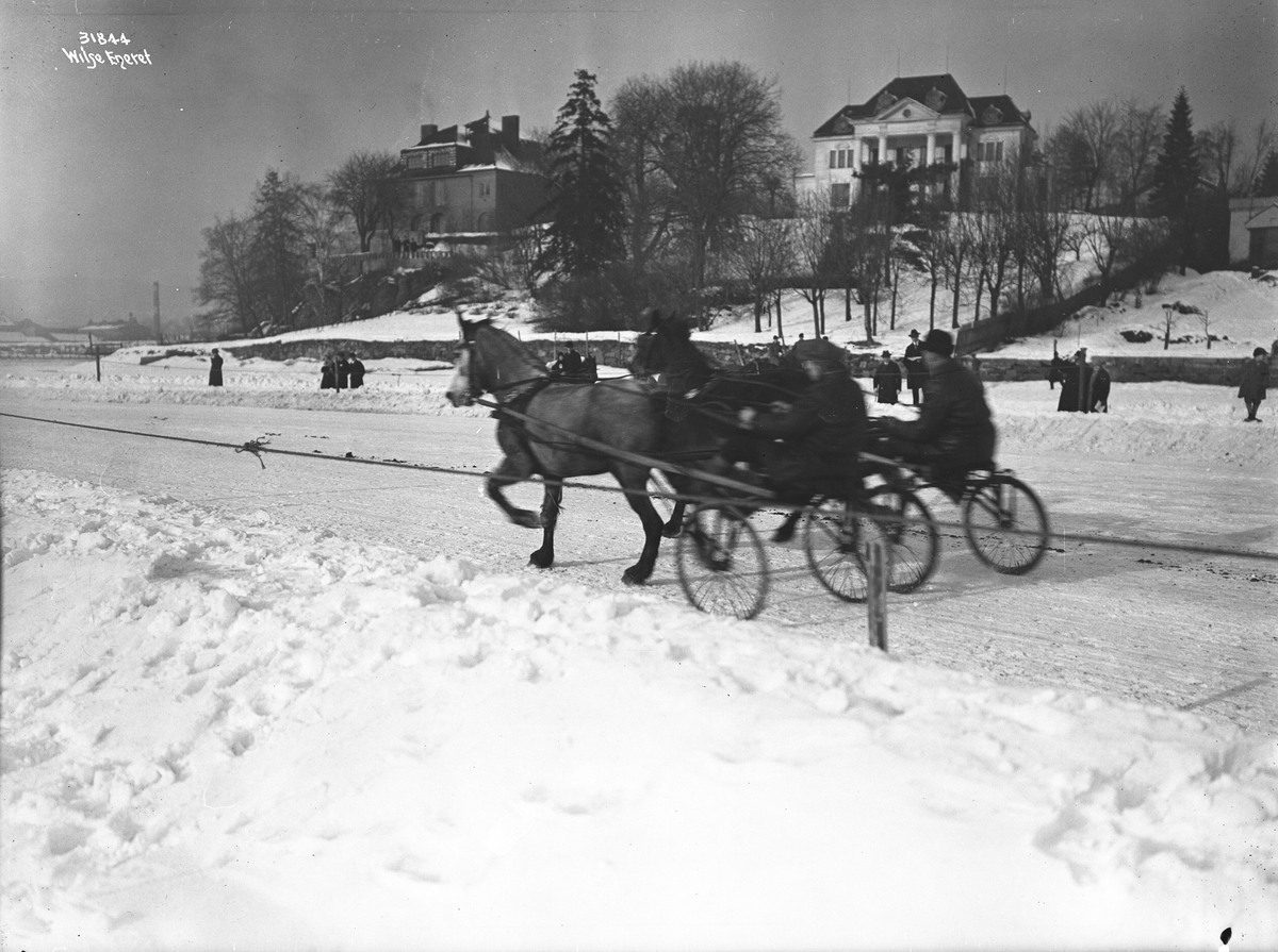 Anders Beer Wilse, Prot: Travkjøring Frognerkilen