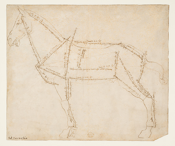 Andrea del Verrocchio, Measured Drawing of a Horse Facing Left (recto)