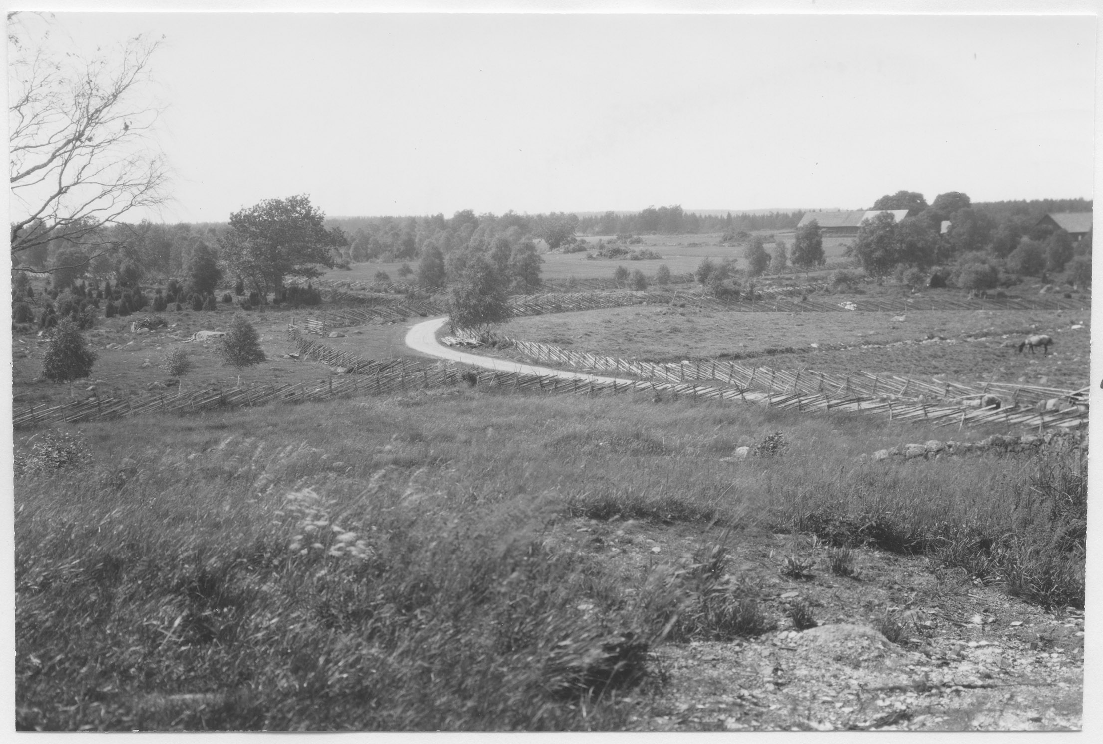 Mårten Sjöbeck, Hemmesjö ödekyrka