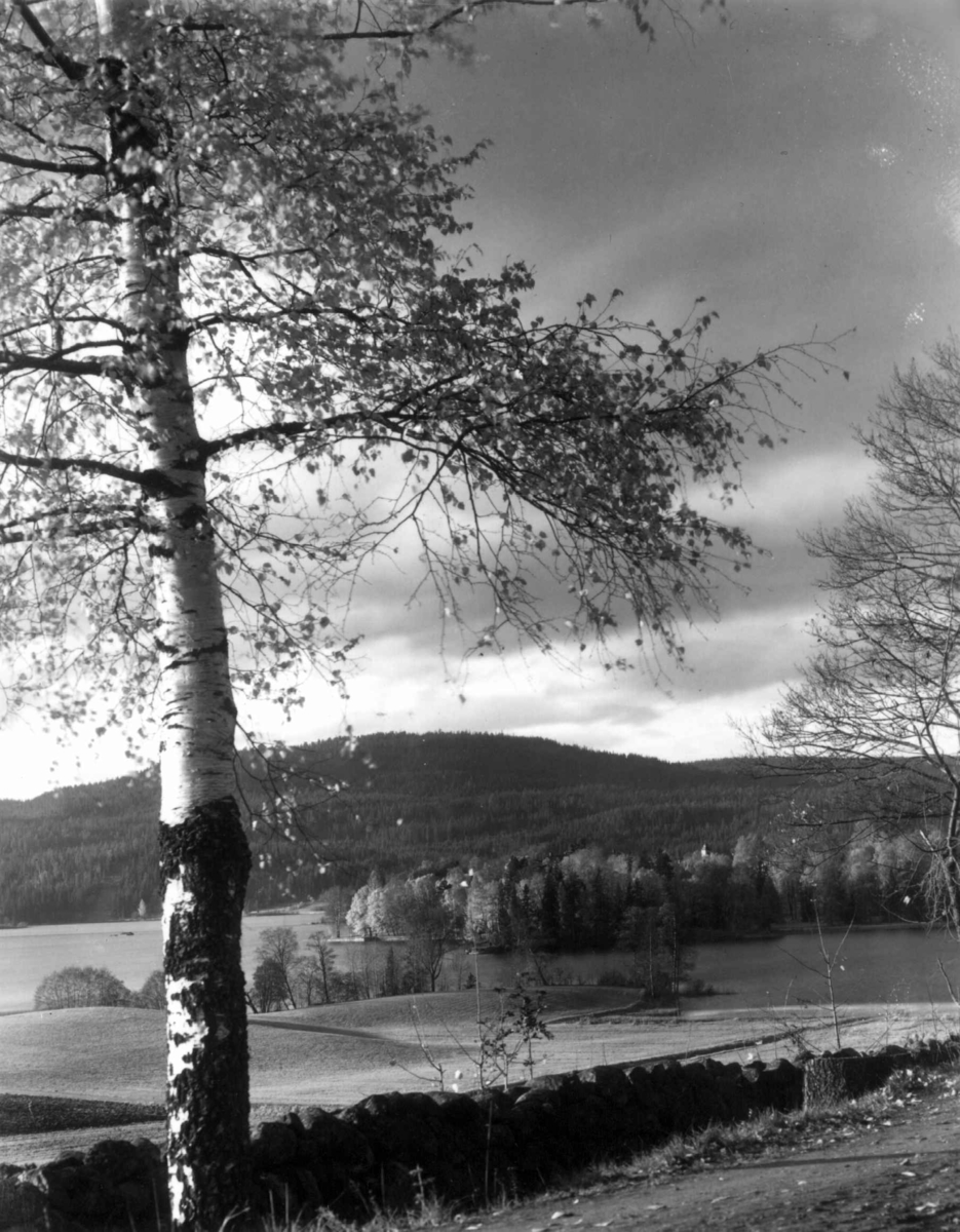 Hermann Christian Neupert, Fra Bogstad ca. 1923. Utsikt mot Bogstadvannet og omkringliggende landskap. Skog i bakgrunnen.