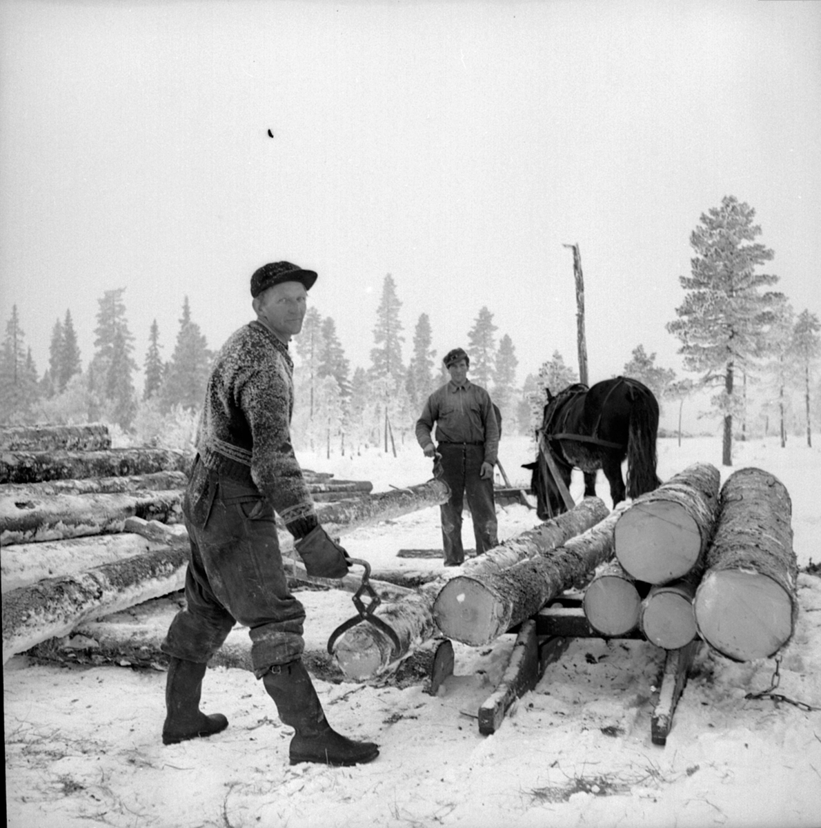 Anno Domkirkeodden, Tømmerlunning. Tømmertransport med hest. Skogbruksarbeidere. Berger Langmoen A/S.