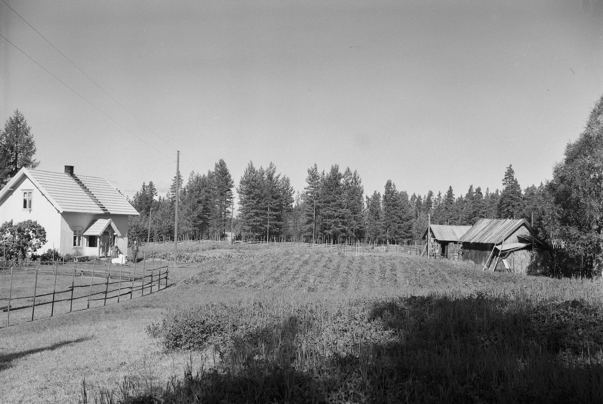 Anno Domkirkeodden, EKSTR: GARDSTUN, MELLOM (MILLOM), LØTENMELLUM. Se Løtenbok nr. 3 fra 1955 side 771
