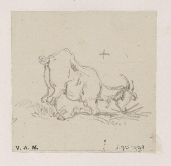 George Chinnery, A grazing goat