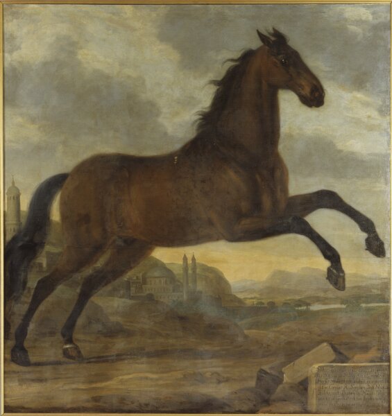 David Klöcker Ehrenstrahl, Karl XI:s livhäst Sultan