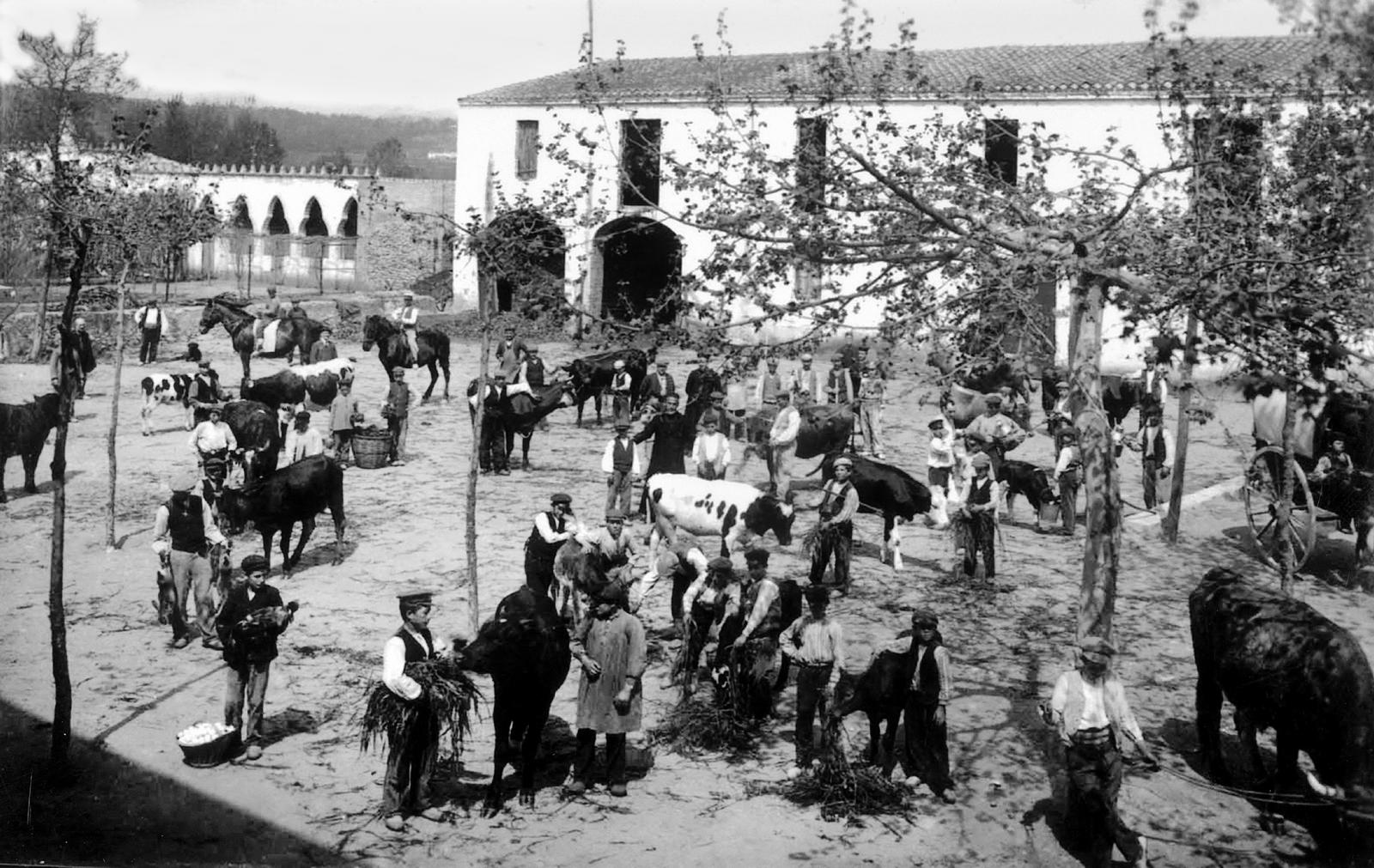 Desconegut, [Granja-Escola de San Isidro]