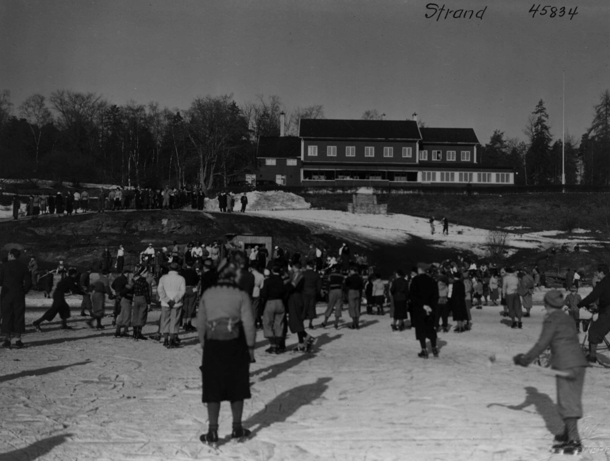 Anders Beer Wilse, Friluftsliv/Sport, Skoyter, vinter.