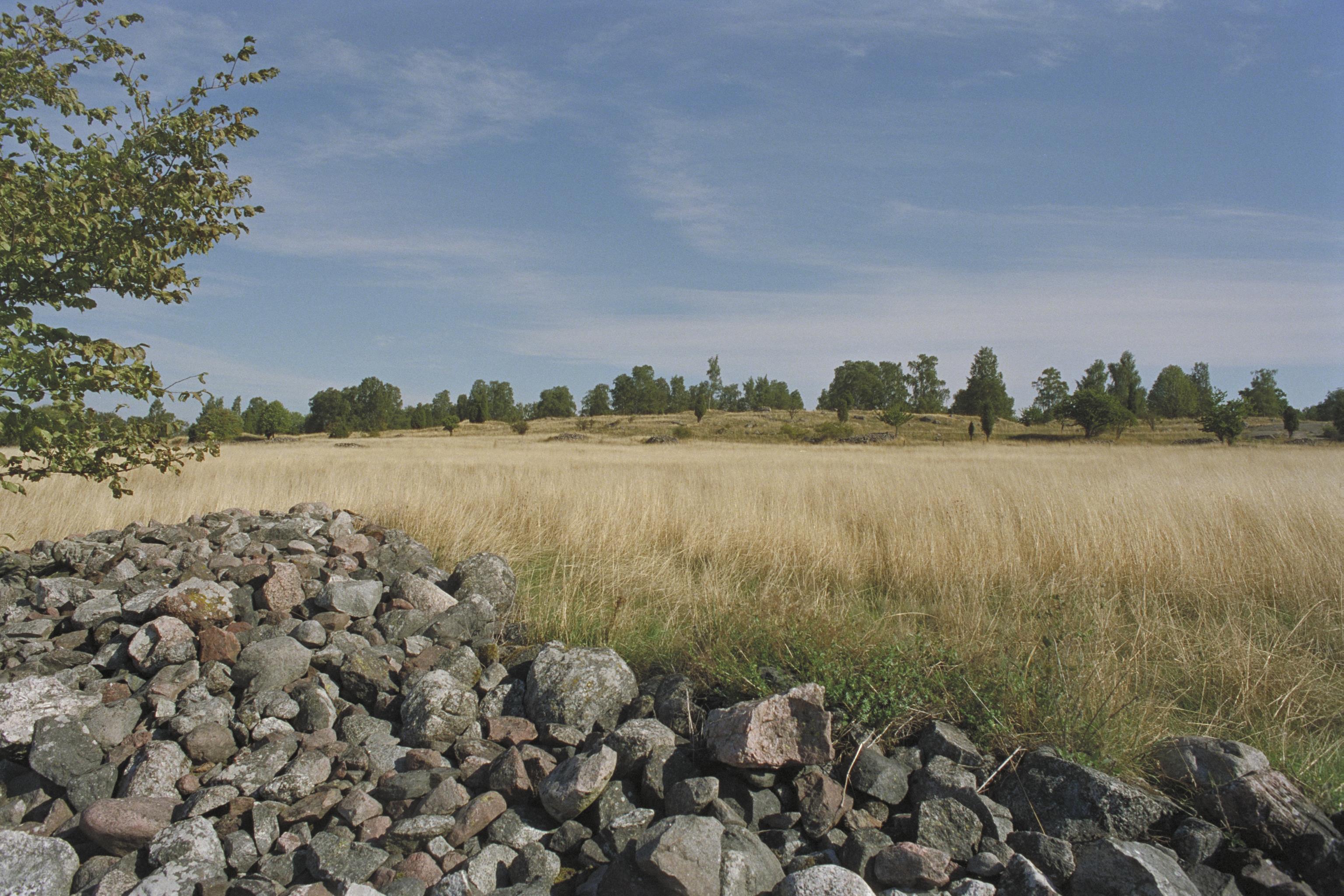Bengt A Lundberg, Björkö-Birka
