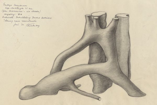J Tinkelenberg, Ductus arteriosus