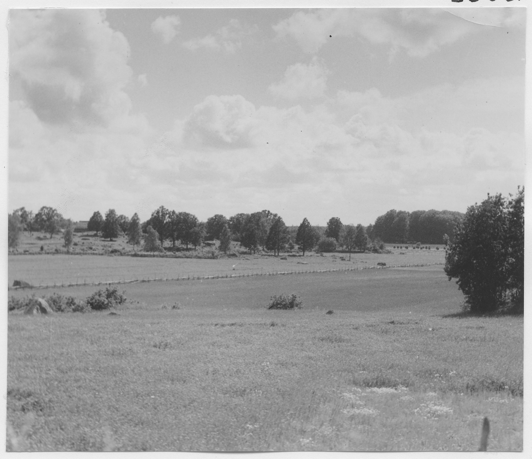 Mårten Sjöbeck, Verlebo