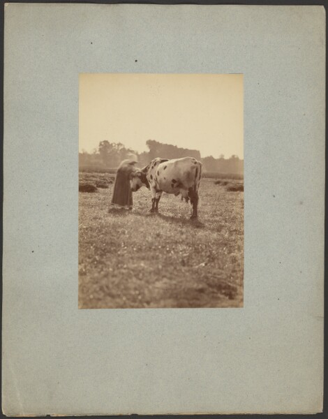 Unknown, [Woman and cow]