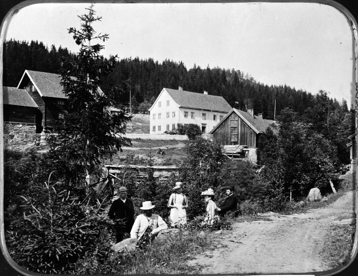 Anno Domkirkeodden, EKSTERIØR: GARDSBRUK, VIK MED BRENNE, TANGEN, Hovedbygningen og de nærmeste uthusene på Vik gård på Tangen 1880. Folkene i vegkanten er ukjente,