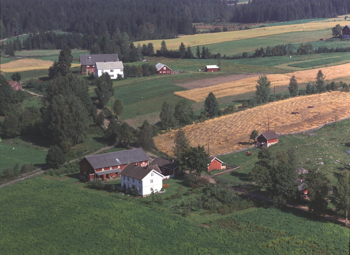 Widerøes Flyveselskap A/S, Flyfoto, Nygård, Gaupen, Ringsaker.