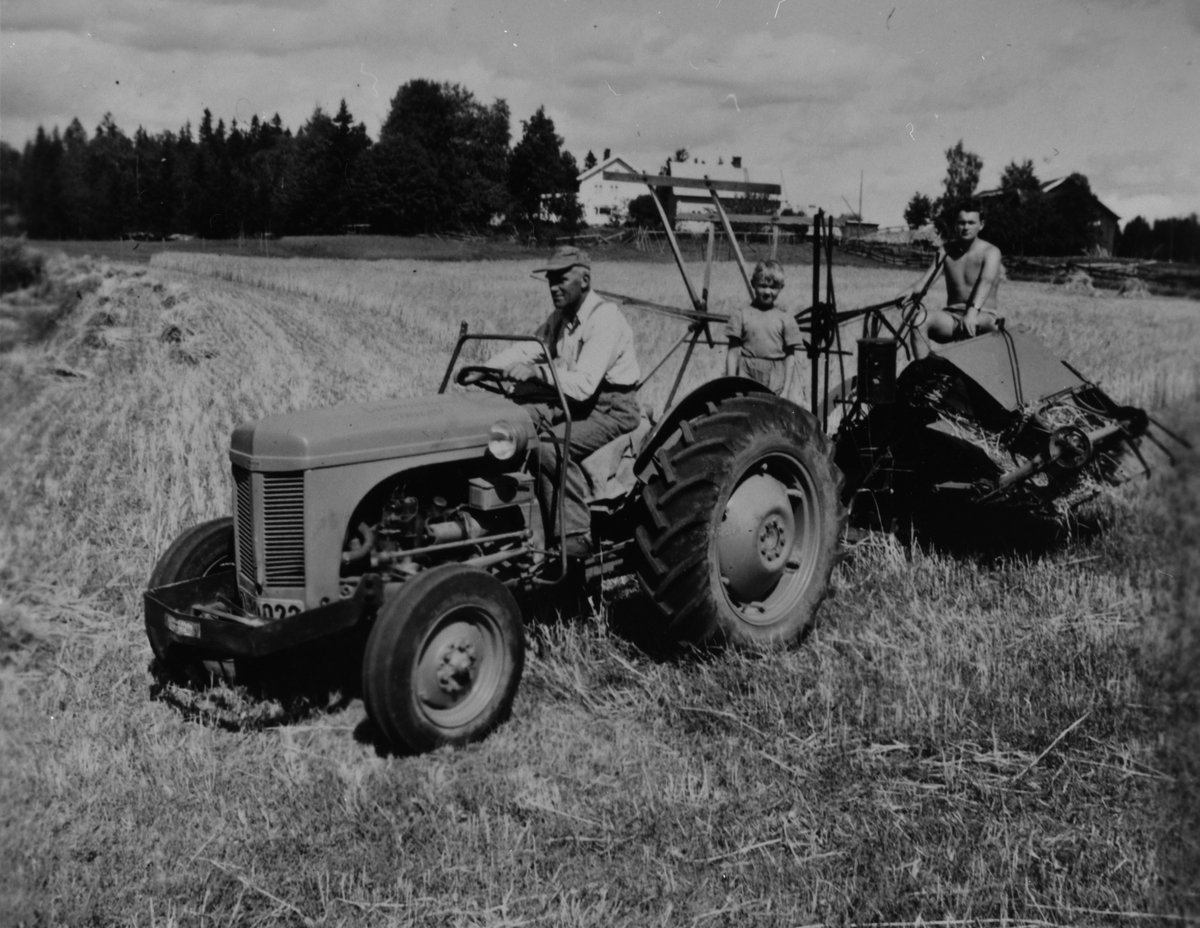 Anno Domkirkeodden, SKURONN, FØRSTE KORNBANDA, GRÅTASS TRAKTOR MED SELVBINDER, VESTGÅRD, VESTGAARD. Gråtass med selvbinder som er gjort om fra hestedrag, traktoren er utrustet med bøyle som tilhører Siroccohytte. Datidens "traktorhytte"
