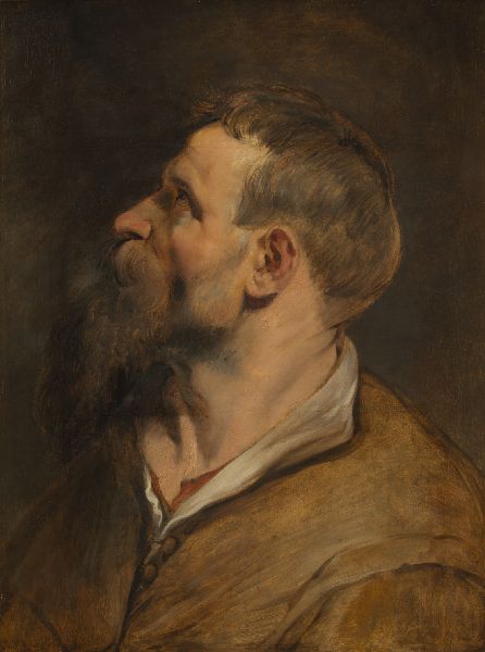 Peter Paul Rubens, Hoofdstudie van een man in profiel