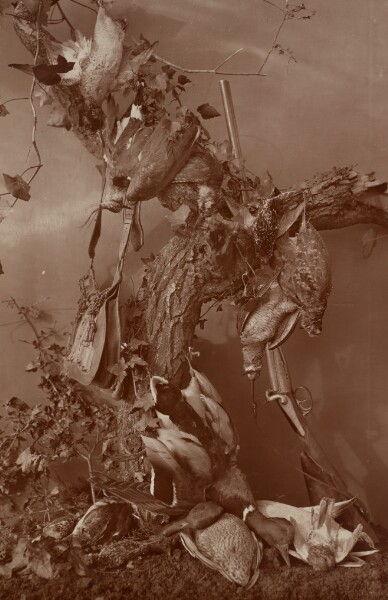 Adolphe Braun, [Still Life: Dead Game]