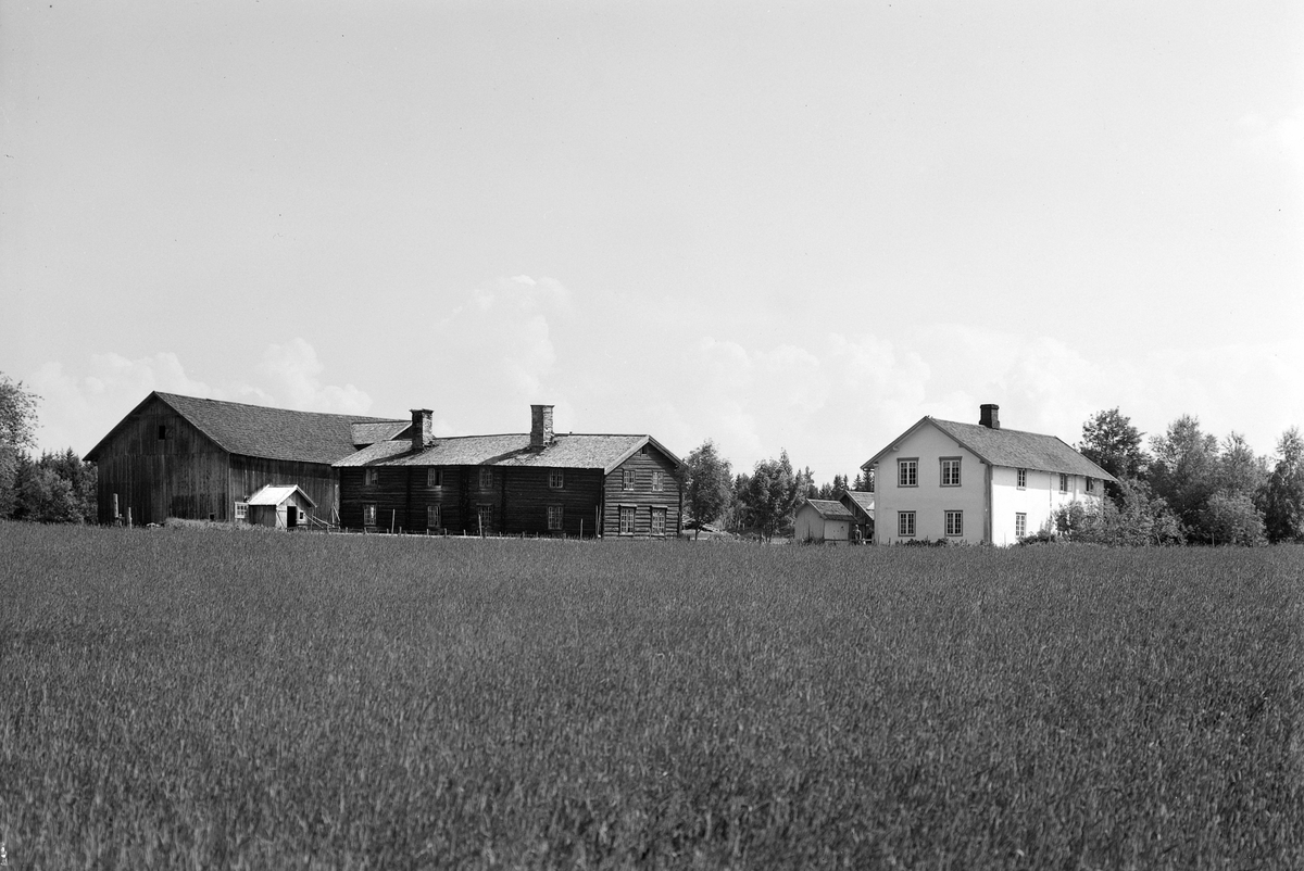 Anno Domkirkeodden, EKSTR: GARDSTUN, KOLSET. Se Løtenboka, bind 3. Bygdeboka fra 1955, side 512