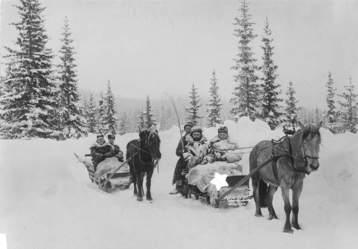 Anders Beer Wilse, Sleder