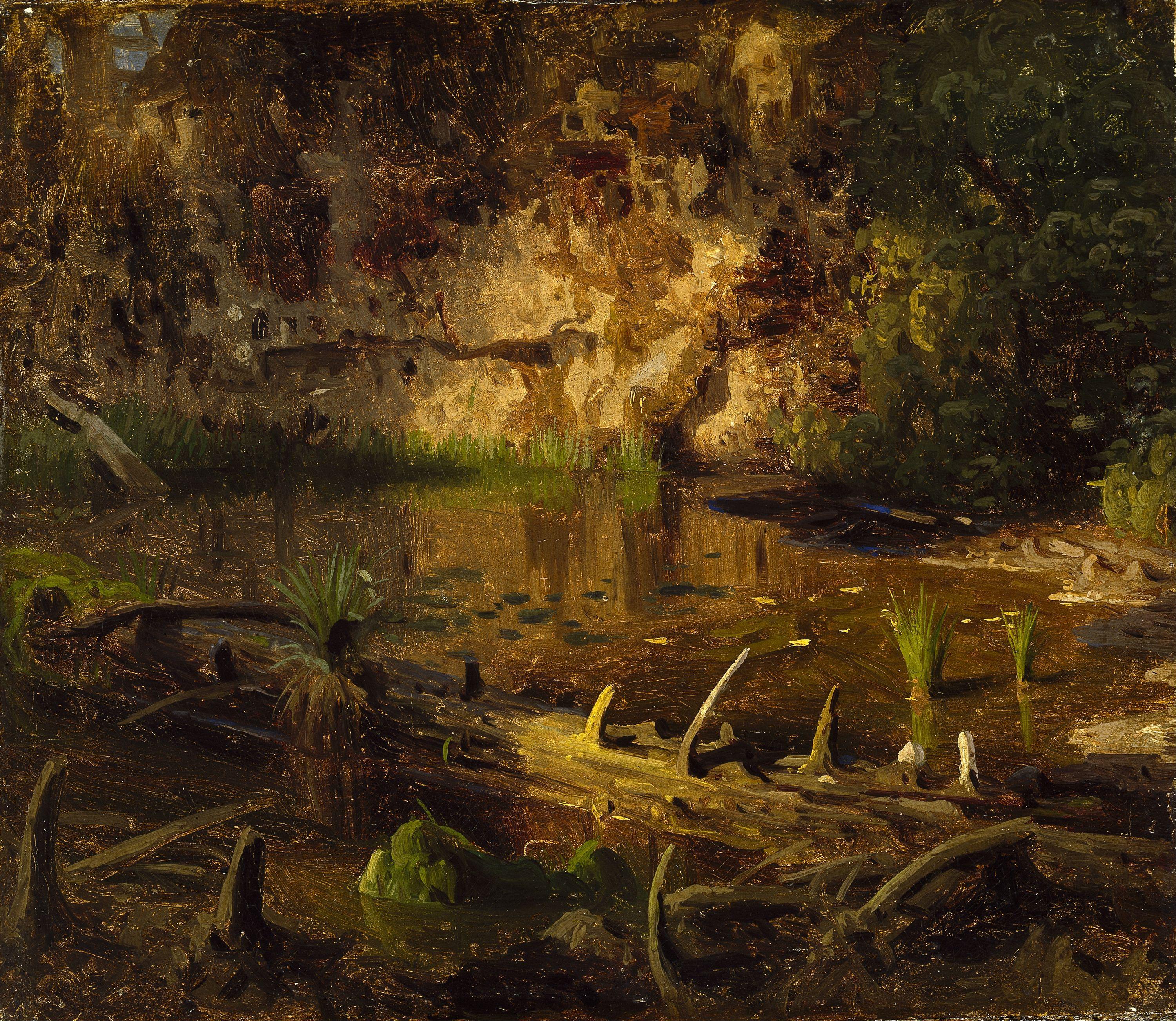 August Cappelen, Study of a fallen Tree