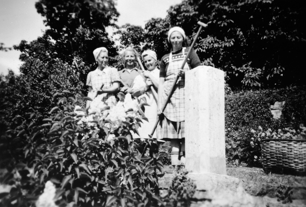 Anno Domkirkeodden, Fire damer med hageredskap jobber i prydhagen på Hoel gård, Nes, Hedmark. Fra venstre er Jenny Ekeberg, Ellen Evensen, Ingeborg Christensen, Oddbjørg Nicolaysen.