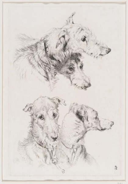 Edwin Landseer, Deer Hounds
