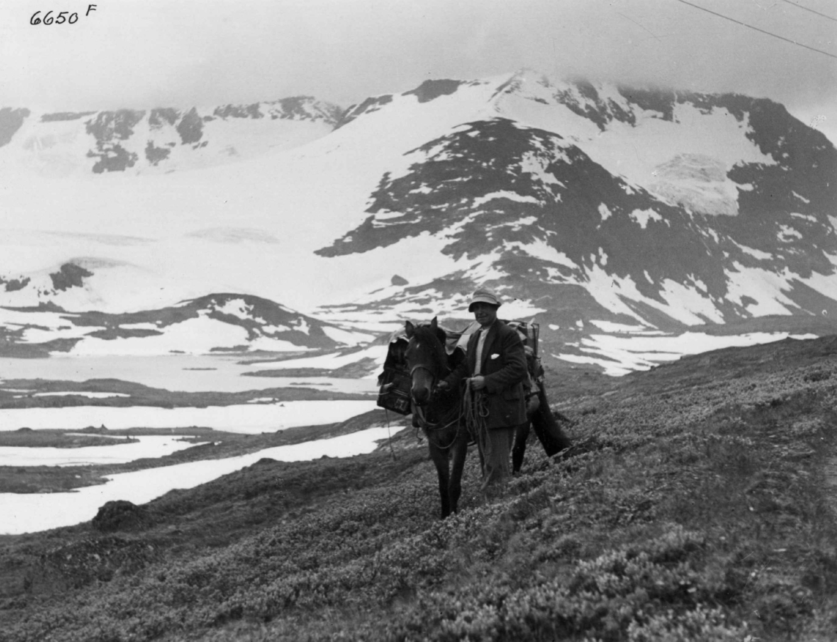 Anders Beer Wilse, Med kløvhest over fjellet