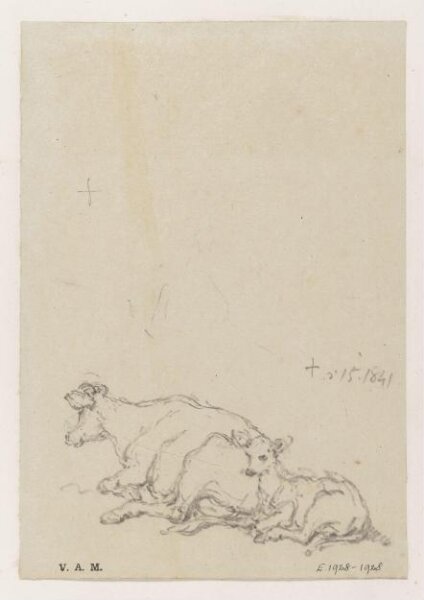 George Chinnery, A cow and calf