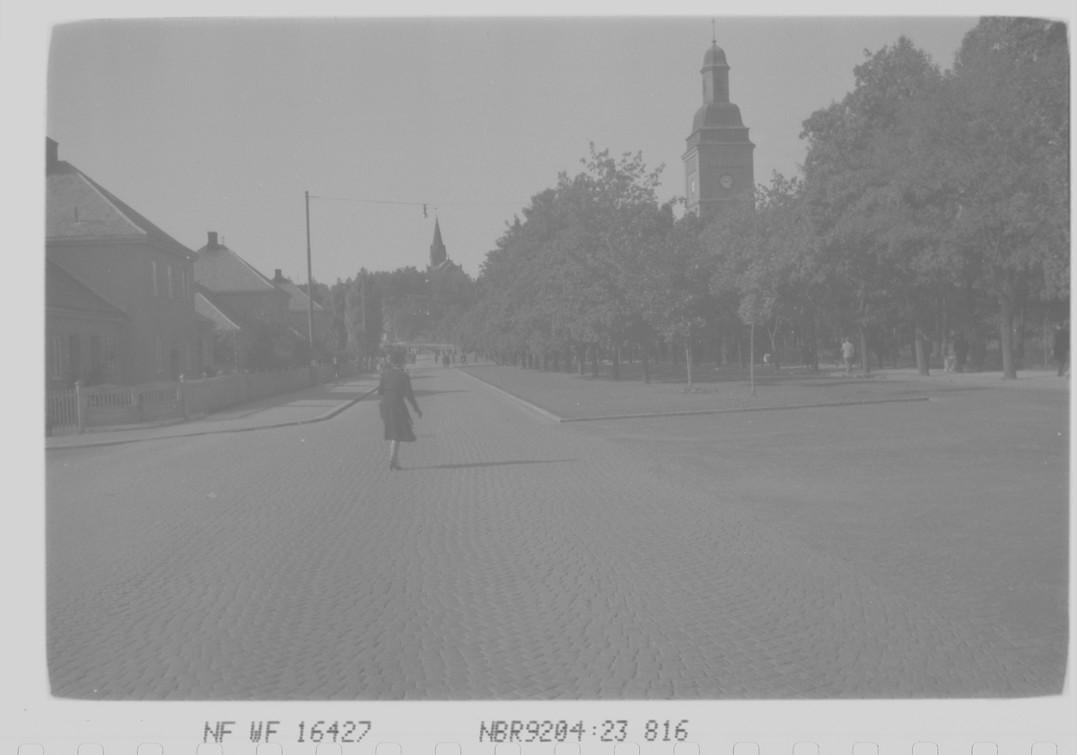 Anders Beer Wilse, Prot: (kass)