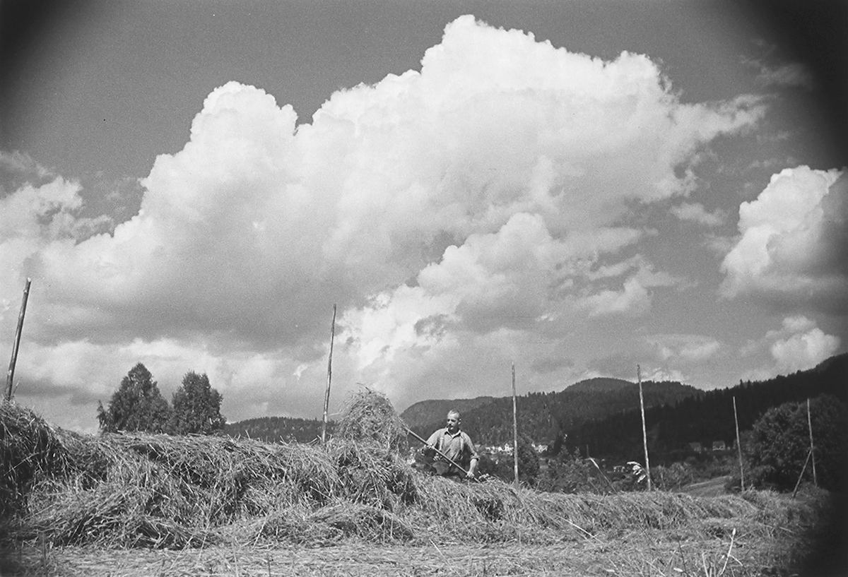 Anders Beer Wilse, Prot: Höiånd Mjöndalen