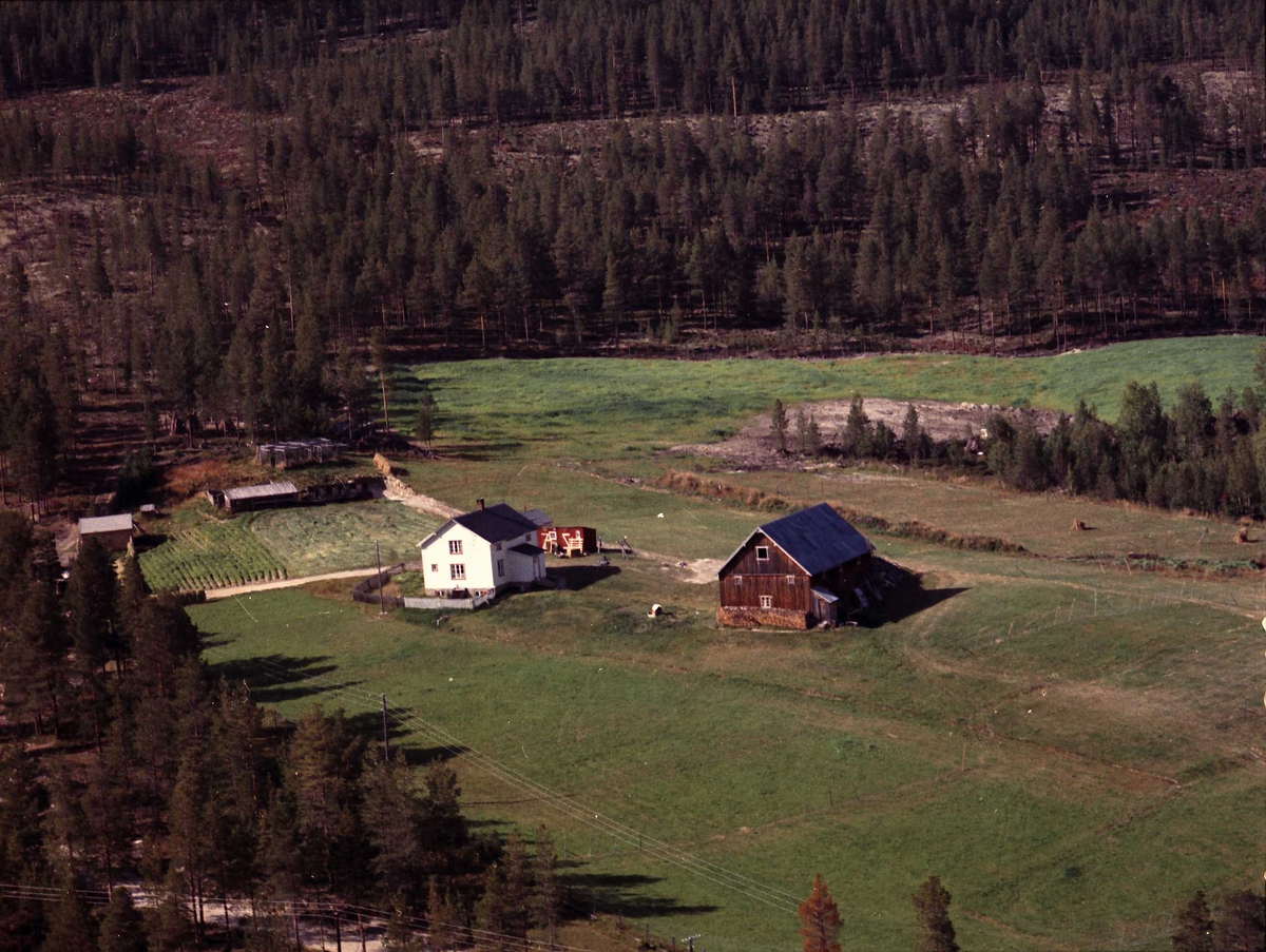 Widerøes Flyveselskap A/S, Gårdsbruk.