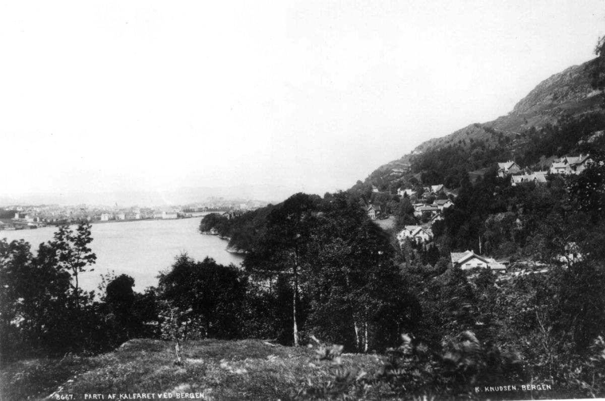 Knud Knudsen, 8667. PARTI AF KALFARET VED BERGEN