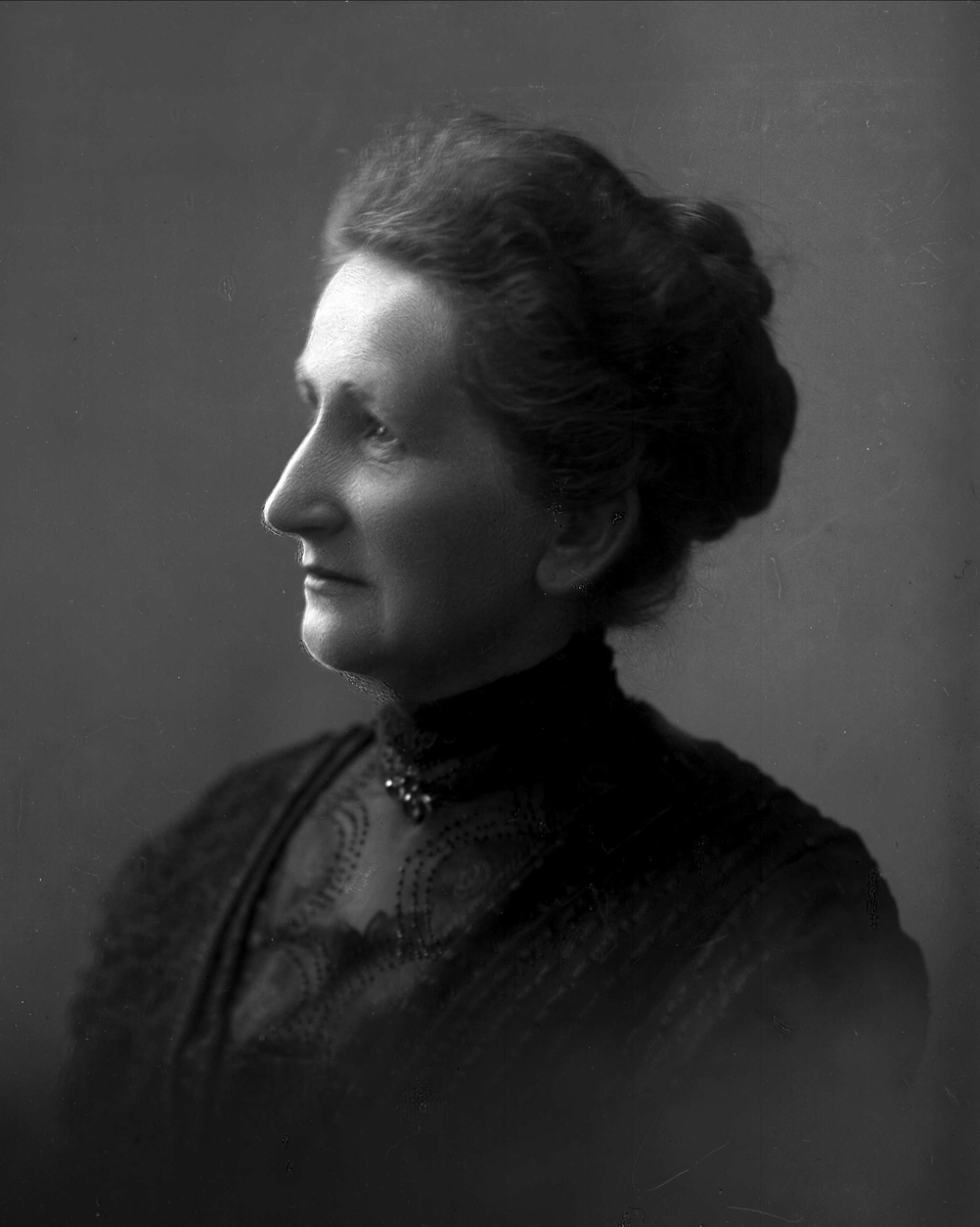 Gustav Borgen, NFB.03731