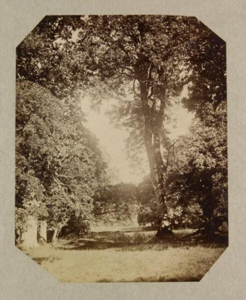 Clementina, Lady Hawarden, Photograph