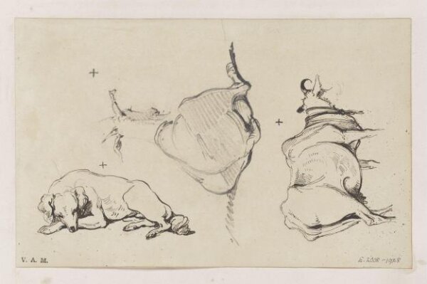 George Chinnery, Animals