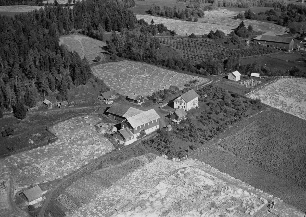 Anno Domkirkeodden, Flyfoto, gardsbruk, Sterud nordre, Nes, Hedmark.