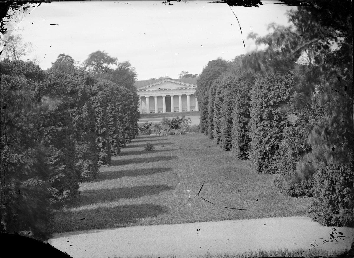Henri Osti's Fotografiateliér, Botanical Garden and Linneanum, Uppsala 1860s